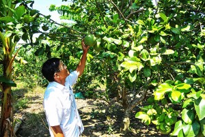 Khánh Vĩnh: Cần phát huy hiệu quả của Hợp tác xã nông nghiệp