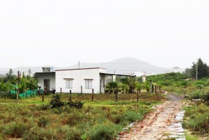 Ninh Hòa: Lấn chiếm đất quy hoạch phân lô Khu dân cư Phú Thạnh