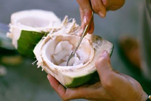 5 công dụng của cơm dừa non đối với sức khoẻ