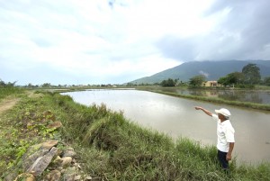 Ninh Hòa: Đề xuất xây kè kiên cố rạch Ngòi Bùn