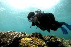 Nỗ lực phục hồi hệ sinh thái rạn san hô