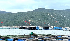 Ngư dân thay mới cờ Tổ quốc trên bè nuôi trồng hải sản để đón Tết