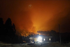 Chile mở rộng tình trạng khẩn cấp do cháy rừng