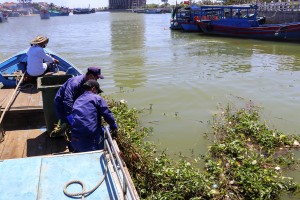 Nha Trang: Tăng cường xử lý rác thải ra sông, biển