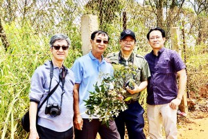 Bác sĩ A. Yersin và chuyện đưa cây canh ki na vào Việt Nam